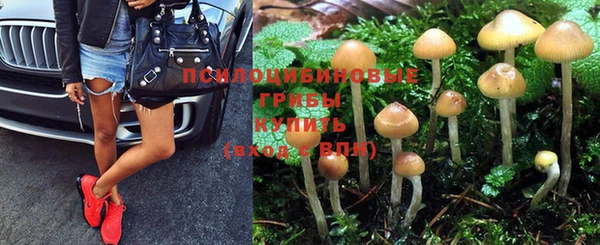 ПСИЛОЦИБИНОВЫЕ ГРИБЫ Новодвинск
