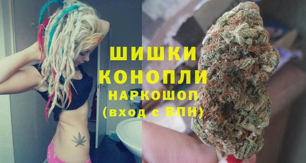 метадон Няндома