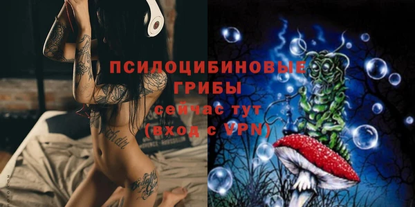 ПСИЛОЦИБИНОВЫЕ ГРИБЫ Новодвинск