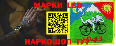 крисы Апшеронск