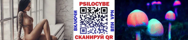 Галлюциногенные грибы Psilocybine cubensis  Каменка 