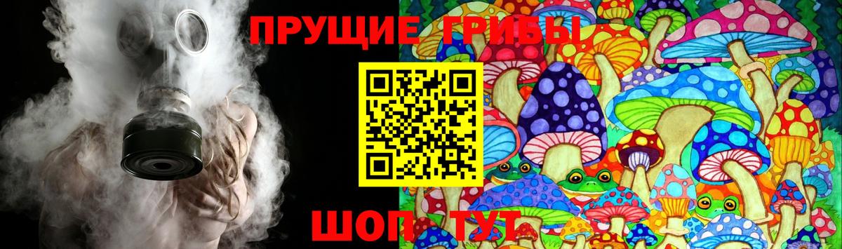 Галлюциногенные грибы Cubensis Каменка