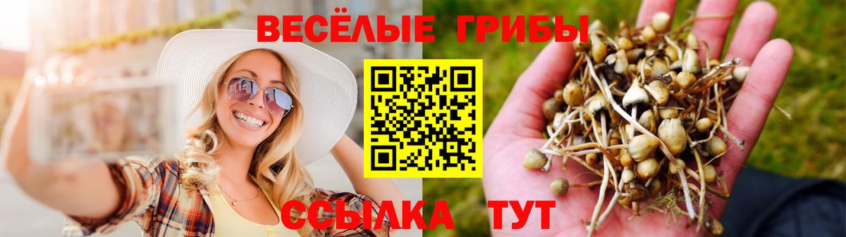 Галлюциногенные грибы MAGIC MUSHROOMS  Вход с VPN  Каменка  даркнет сайт  Псилоцибиновые грибы Psilocybe 