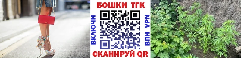 Бошки Шишки семена  Каменка 